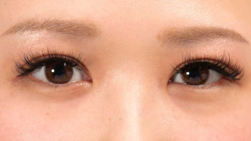 パルフェラッシュ プレミアム600本